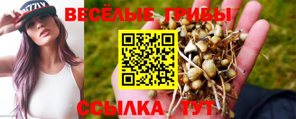 Галлюциногенные грибы Psilocybe Ноябрьск